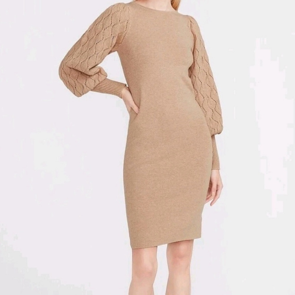 Express Women’s Knee length dress